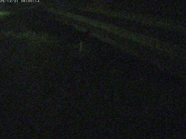 精進川１2025/12/22 0:50:00