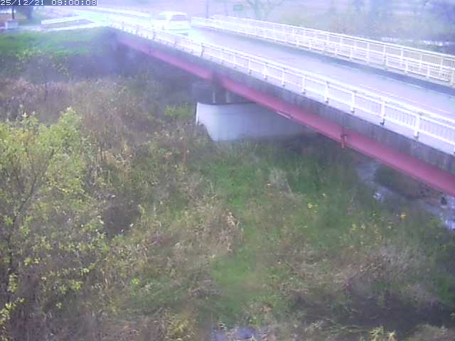 精進川１2025/12/22 0:50:00