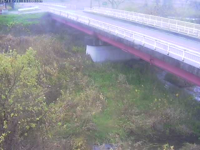 精進川１2025/12/22 0:50:00