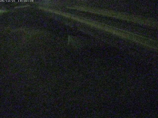 精進川１2025/12/22 0:50:00