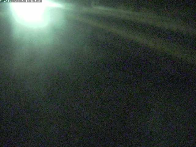 精進川１2025/12/22 0:50:00