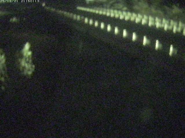 精進川１2025/12/22 0:50:00