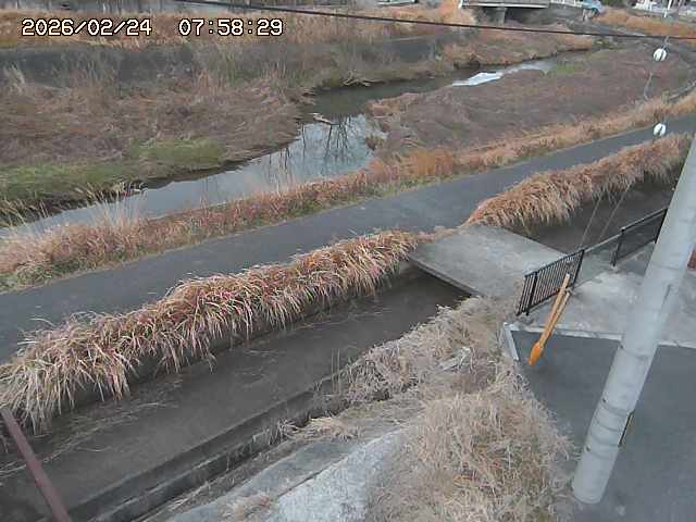 加茂川２2026/02/25 2:30:00