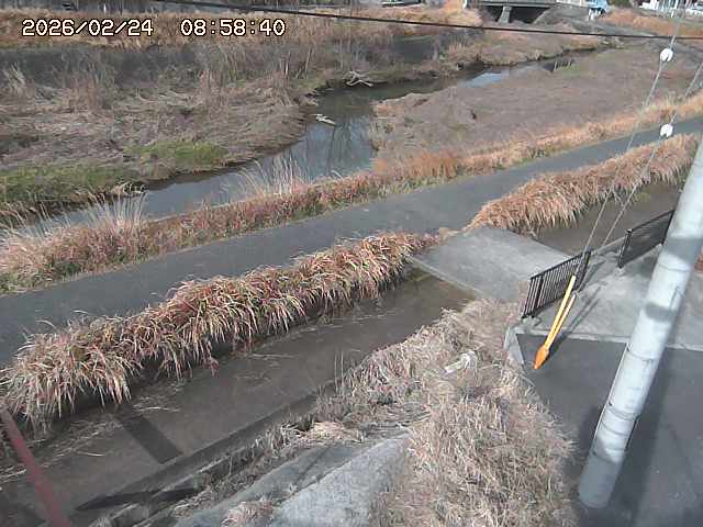 加茂川２2026/02/25 2:30:00