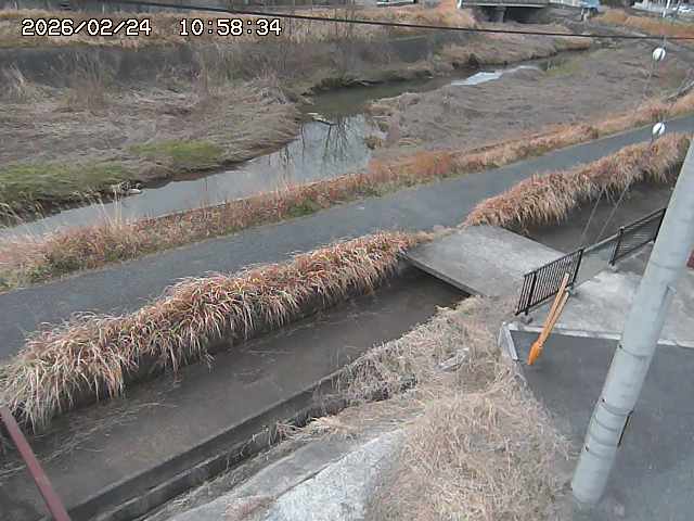 加茂川２2026/02/25 2:30:00