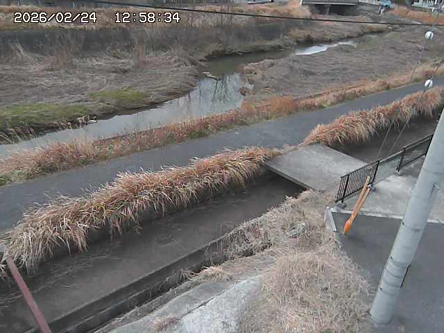 加茂川２2026/02/25 2:30:00