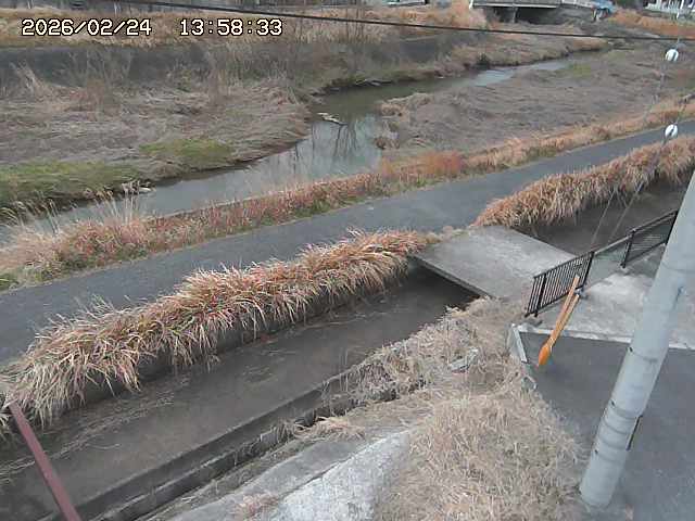加茂川２2026/02/25 2:30:00