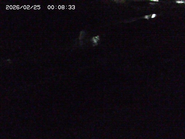 加茂川２2026/02/25 2:30:00