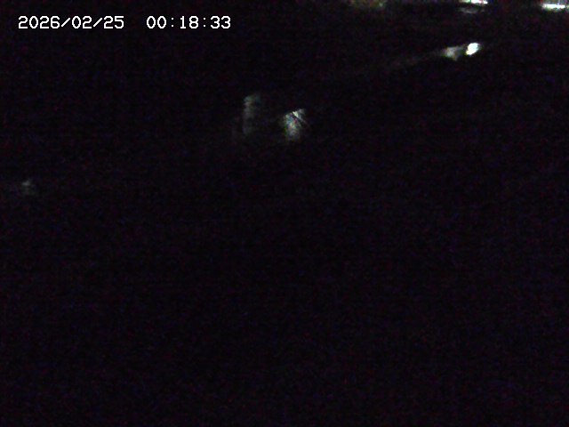 加茂川２2026/02/25 2:30:00