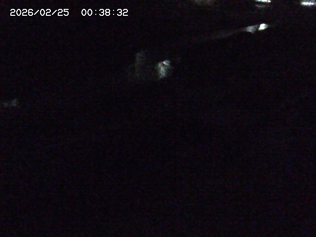 加茂川２2026/02/25 2:30:00