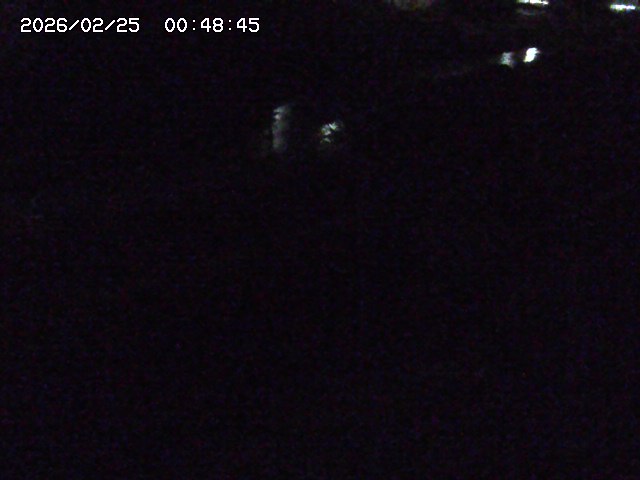 加茂川２2026/02/25 2:30:00