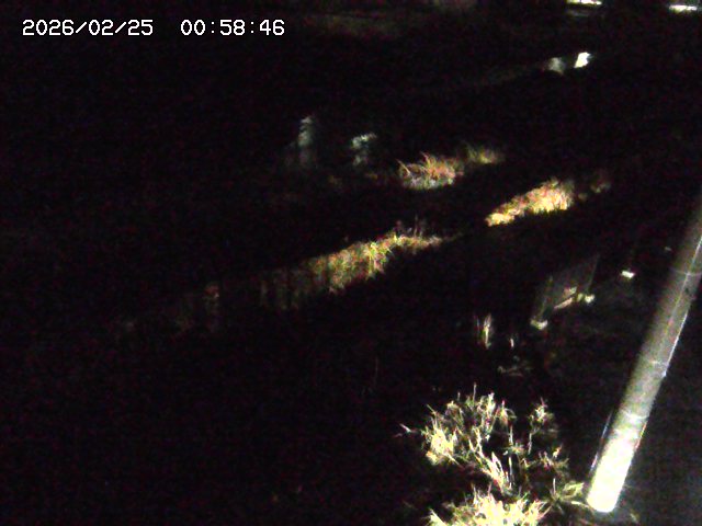 加茂川２2026/02/25 2:30:00