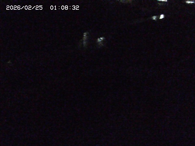 加茂川２2026/02/25 2:30:00