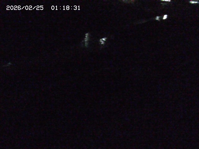 加茂川２2026/02/25 2:30:00