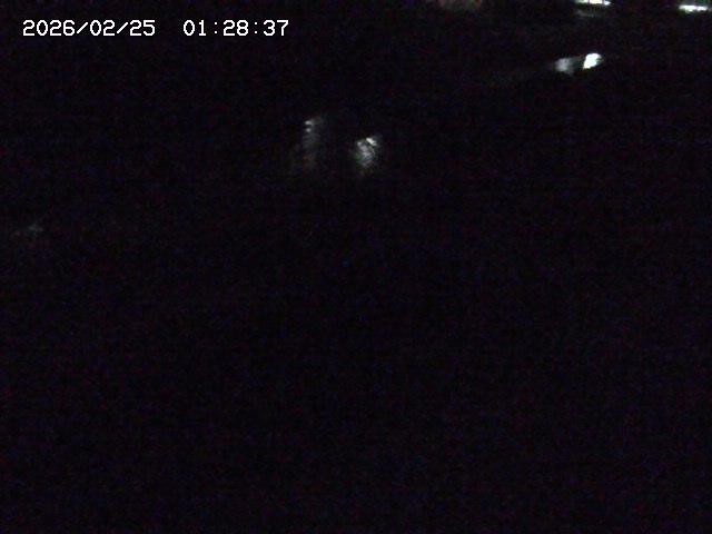 加茂川２2026/02/25 2:30:00