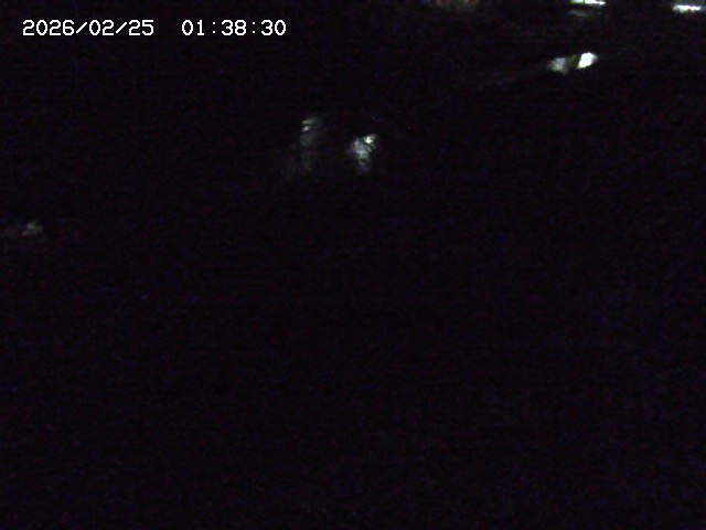 加茂川２2026/02/25 2:30:00