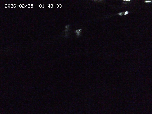 加茂川２2026/02/25 2:30:00