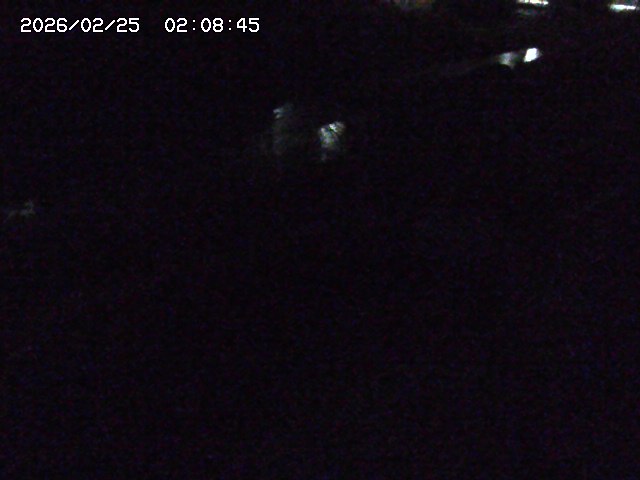 加茂川２2026/02/25 2:30:00