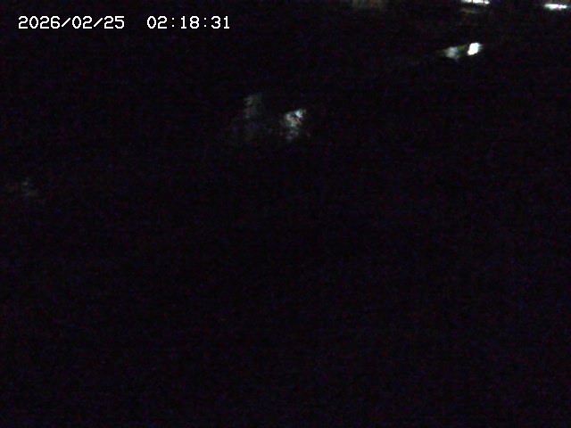 加茂川２2026/02/25 2:30:00