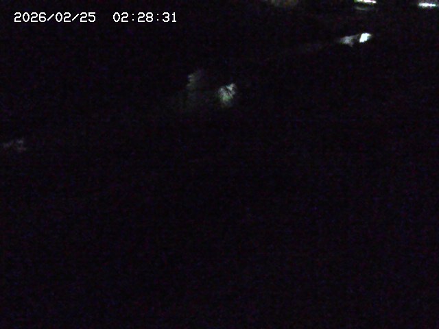 加茂川２2026/02/25 2:30:00