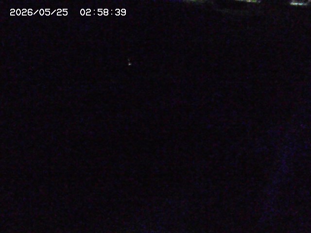 加茂川２2026/05/25 21:40:00