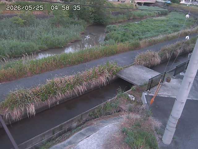 加茂川２2026/05/25 21:40:00