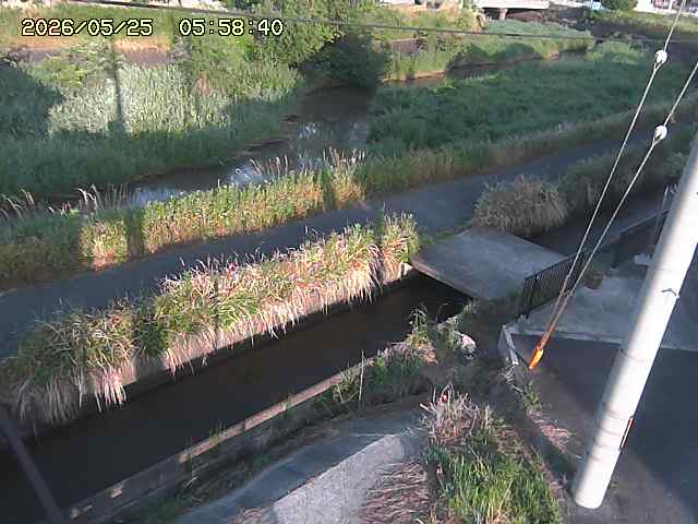 加茂川２2026/05/25 21:40:00