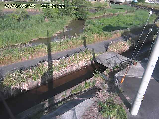 加茂川２2026/05/25 21:40:00