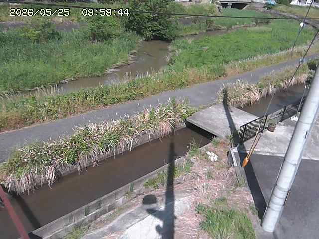 加茂川２2026/05/25 21:40:00