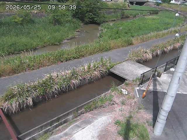 加茂川２2026/05/25 21:40:00