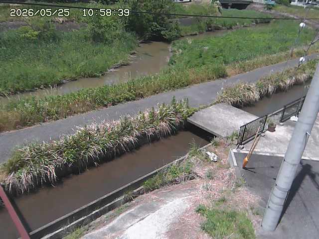 加茂川２2026/05/25 21:40:00