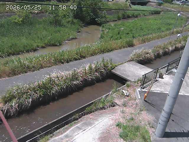 加茂川２2026/05/25 21:40:00