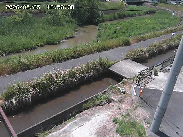 加茂川２2026/05/25 21:40:00