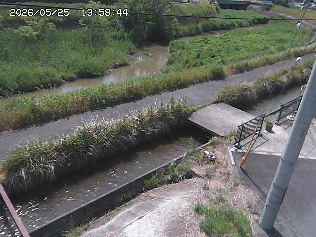 加茂川２2026/05/25 21:40:00
