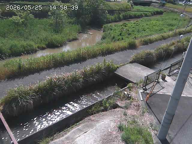 加茂川２2026/05/25 21:40:00