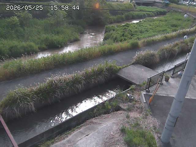 加茂川２2026/05/25 21:40:00