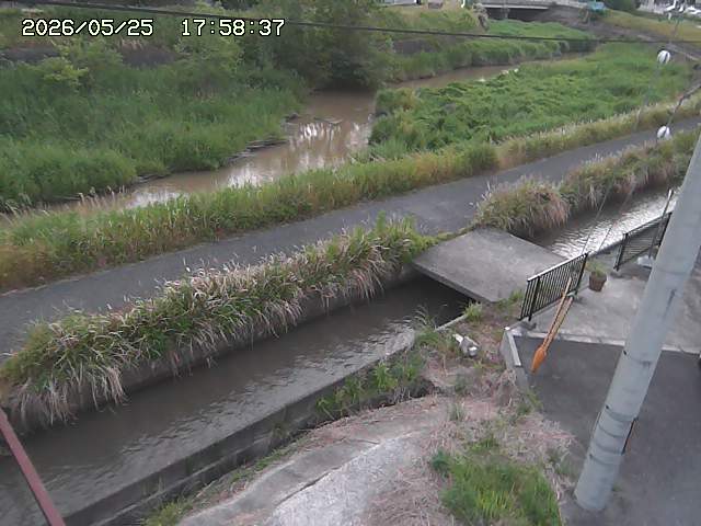 加茂川２2026/05/25 21:40:00