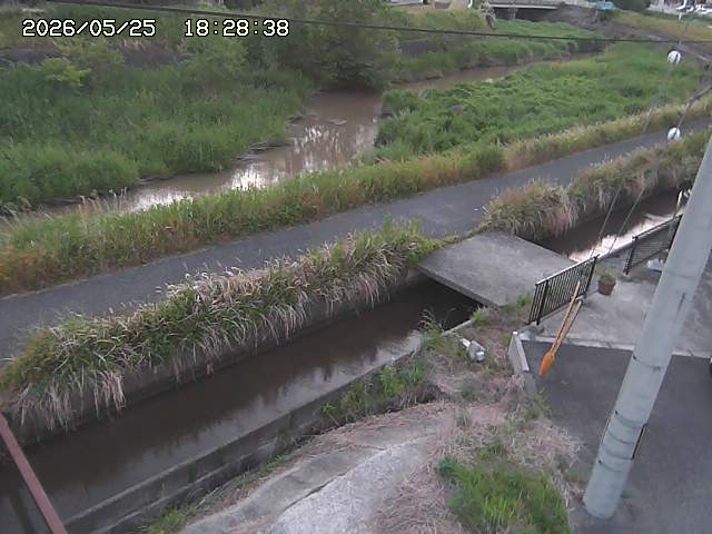 加茂川２2026/05/25 21:40:00