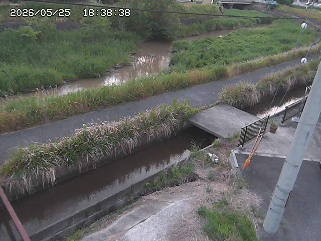 加茂川２2026/05/25 21:40:00