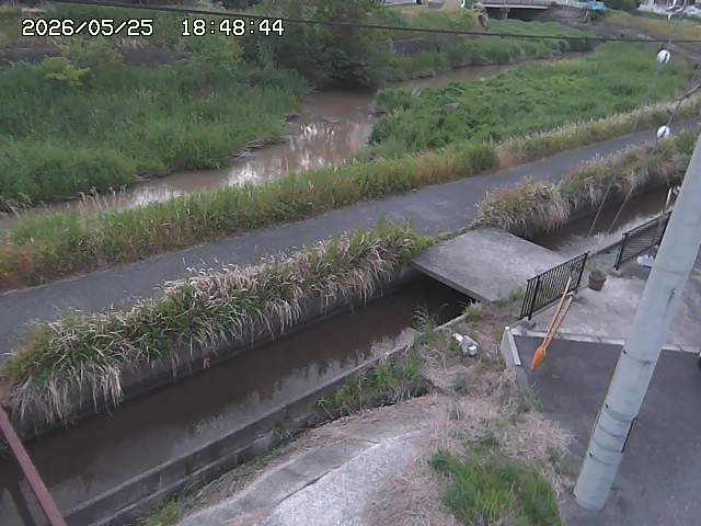 加茂川２2026/05/25 21:40:00