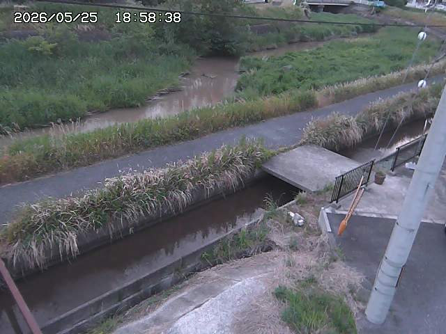 加茂川２2026/05/25 21:40:00