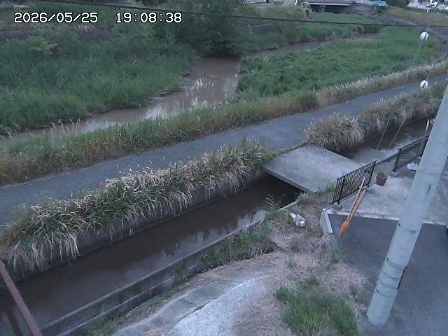 加茂川２2026/05/25 21:40:00