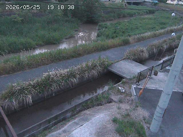 加茂川２2026/05/25 21:40:00
