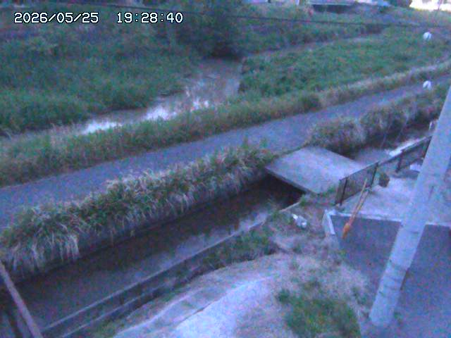 加茂川２2026/05/25 21:40:00