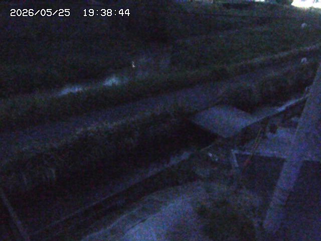 加茂川２2026/05/25 21:40:00