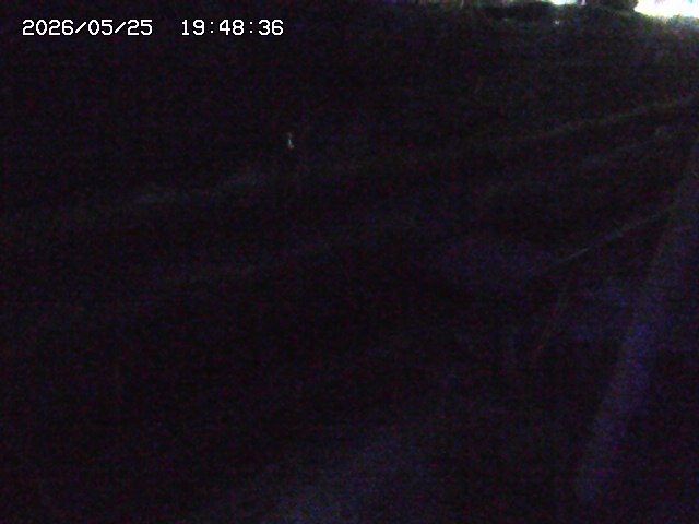 加茂川２2026/05/25 21:40:00