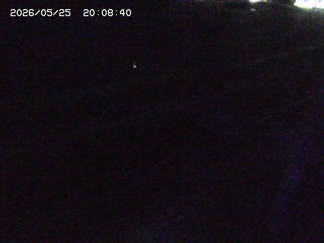 加茂川２2026/05/25 21:40:00