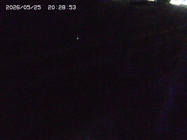 加茂川２2026/05/25 21:40:00