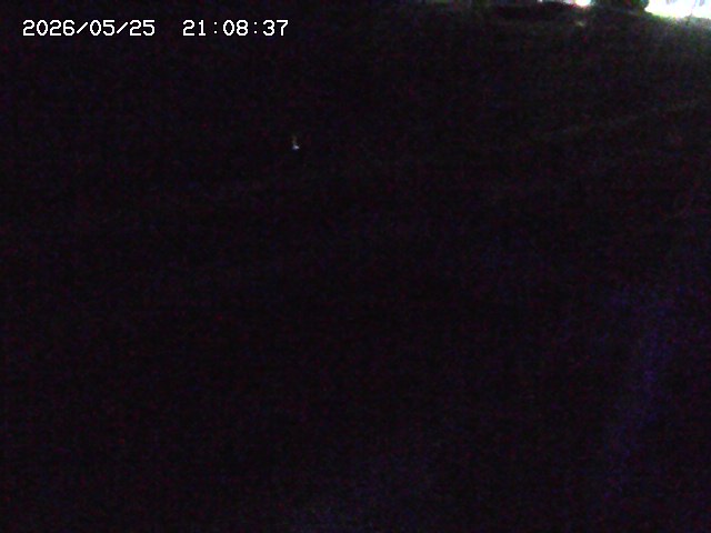 加茂川２2026/05/25 21:40:00