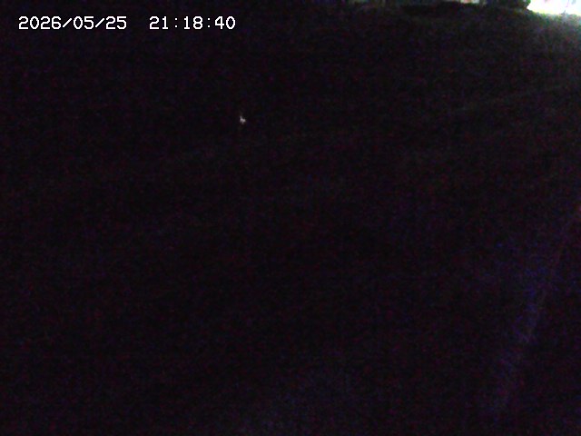 加茂川２2026/05/25 21:40:00